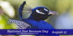 National-Just-Because-Day-August-27